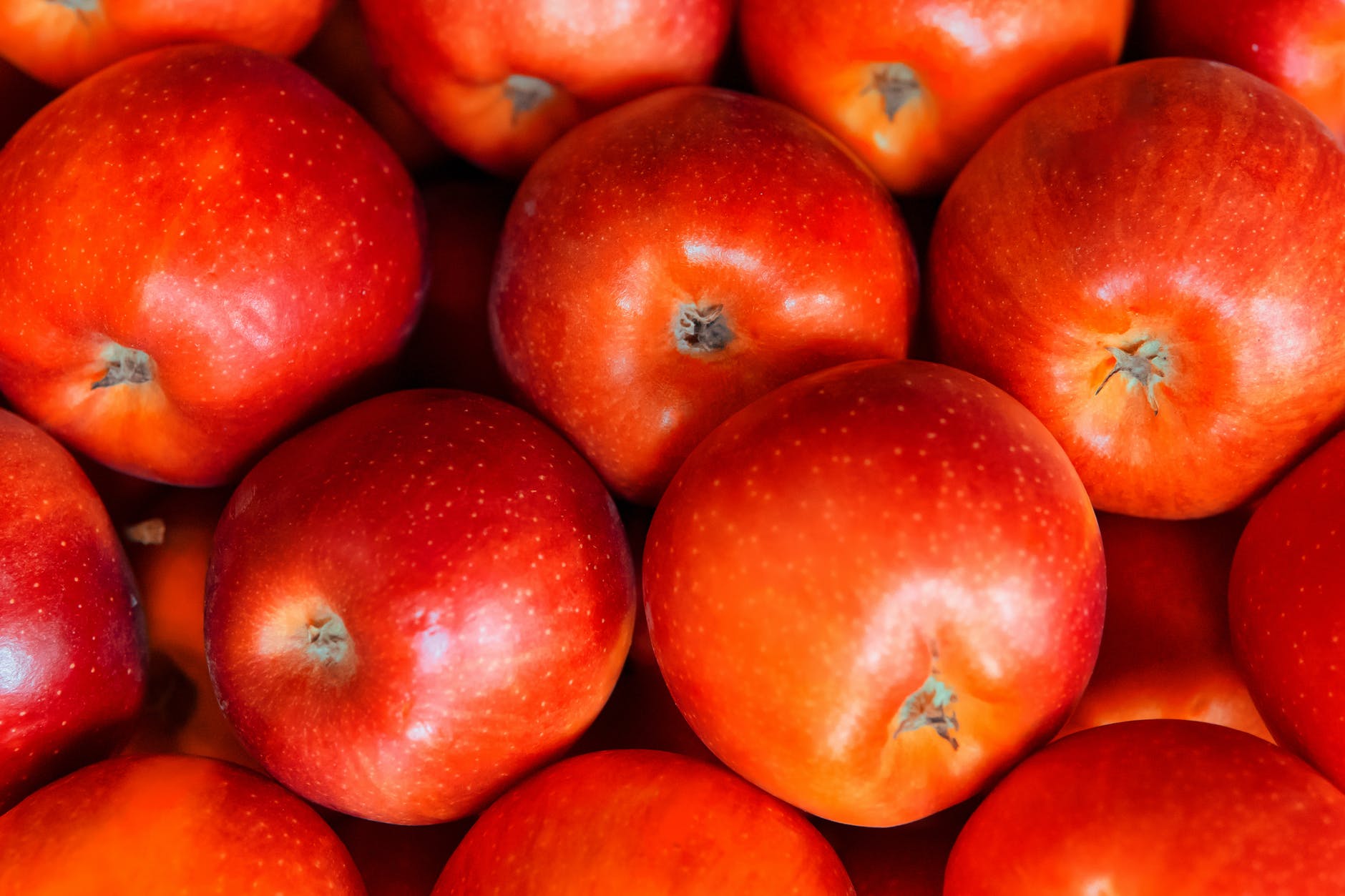 red apple fruits